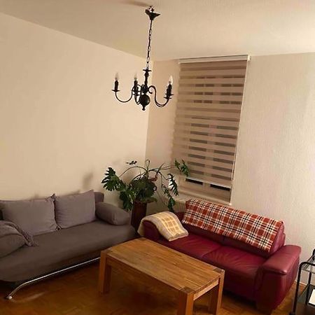 Schone Altbauwohnung Mit Grun In Ruhiger Lage Lipsko Exteriér fotografie