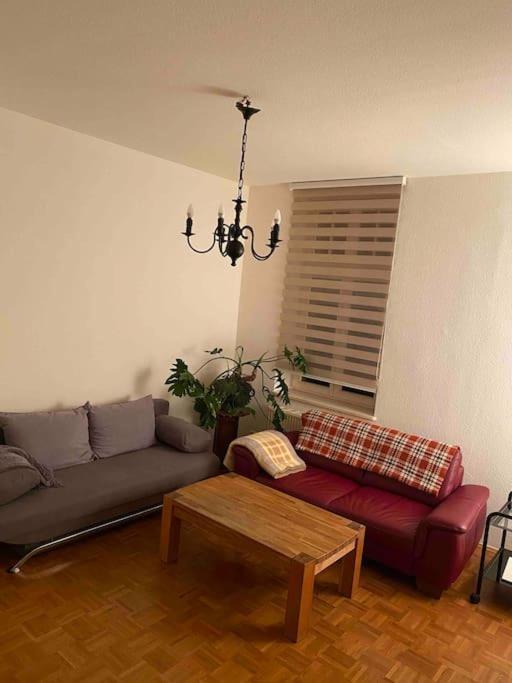 Schone Altbauwohnung Mit Grun In Ruhiger Lage Lipsko Exteriér fotografie